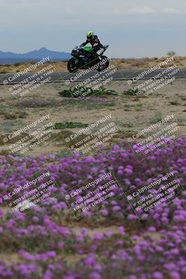 media/Jan-14-2023-SoCal Trackdays (Sat) [[497694156f]]/Turn 14 Exit Bloomig (145pm)/